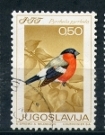 Stamps Yugoslavia -  Pyrrhula pyrrhula