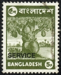 Stamps Asia - Bangladesh -  Arbol