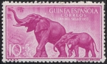 Stamps Spain -  Guinea Española