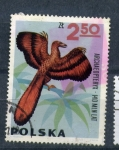 Stamps Poland -  Archaeopteryx