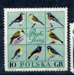 Sellos de Europa - Polonia -  Ptaki lesne