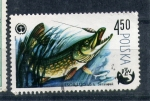 Stamps Poland -  Lucio