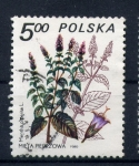 Stamps Poland -  Menta piperila