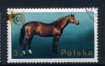 Stamps : Europe : Poland :  Caballo