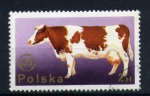 Stamps Poland -  Vacas