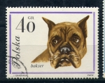 Stamps Poland -  Boxer