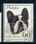 Stamps Poland -  Buldog