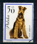 Stamps : Europe : Poland :  Terier