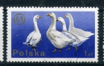 Stamps Poland -  Ocas