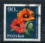 Stamps Poland -  Papaver grientale