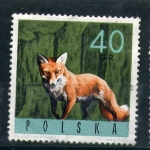 Stamps Poland -  Zorro