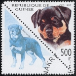 Stamps Guinea -  Perros