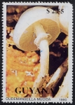 Stamps : America : Guyana :  Setas