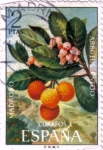 Stamps Spain -  Flora 1972 madroño