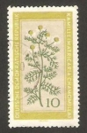 Stamps Germany -  472 - Flor medicinal, camomila