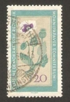 Stamps Germany -  474 - Flor medicinal, pavot
