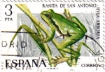 Stamps Spain -  Fauna Hispanica Ranita de san Antonio