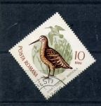 Stamps : Europe : Romania :  serie- Aves