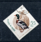 Stamps : Europe : Romania :  serie- Aves
