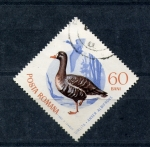 Stamps Romania -  serie- Aves 
