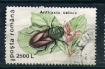 Stamps Romania -  Anthaxia salicis