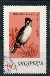 Stamps Albania -  Sylvia Atricapilla