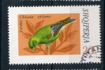 Stamps Albania -  Chloris Chloris