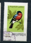 Stamps Albania -  Pyrrhula Pyrrhula