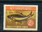 Stamps Albania -  Carpa