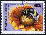 Stamps : Europe : Hungary :  Flora y fauna