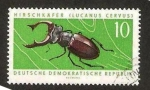 Stamps Germany -  lucanus cervus