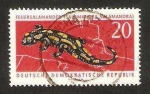 Stamps Germany -  salamandra