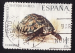 Sellos de Europa - Espaa -  TORTUGA TERRESTRE