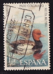 Stamps Spain -  PATO COLORADO