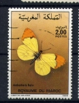 Stamps : Africa : Morocco :  Anthocharis  belia