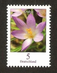 Stamps Germany -  flora, krokus