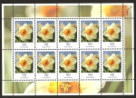 Stamps Germany -  flora, narciso