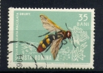 Stamps Romania -  Scolia maculata maculata