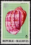 Stamps : Asia : Maldives :  Conchas