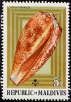 Stamps : Asia : Maldives :  Conchas