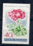 Stamps : Europe : Romania :  Pelargonium zonale