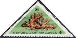 Stamps Asia - Maldives -  Flores