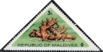 Stamps Maldives -  Flores