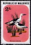 Stamps Asia - Maldives -  Fauna