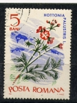 Stamps Romania -  Hotoni palustris l.