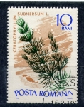 Stamps Romania -  Ceratophyllum submersum l.