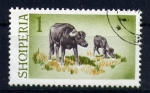 Stamps Europe - Albania -  Búfalos