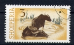 Stamps Albania -  Búfalos