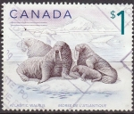 Stamps Canada -  CANADA 1999 Scott 1697 Sello Animales Atlantic Walrus Morsa del Atlántico Usado