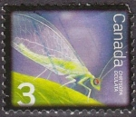 Stamps : America : Canada :  CANADA 2007 Sello Animales Insectos Crisopa Chrysopa Oculata usado